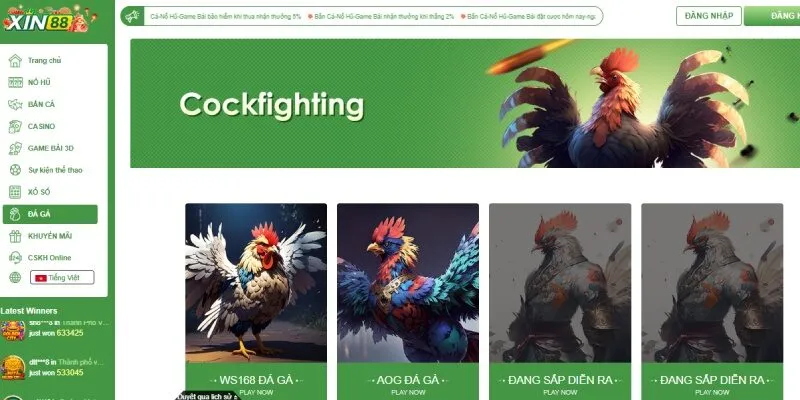 Đấu trường đá gà đẳng cấp nhất tại Xin88